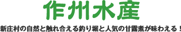 作州水産 - 新庄村の自然と触れ合える釣り堀と人気の甘露煮が味わえる！